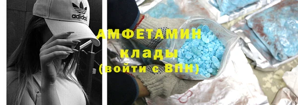 индика Арсеньев