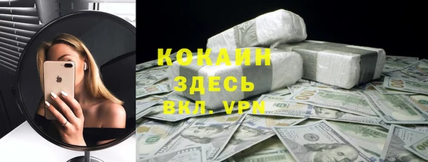 индика Арсеньев
