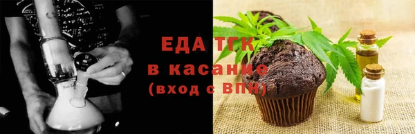 индика Арсеньев