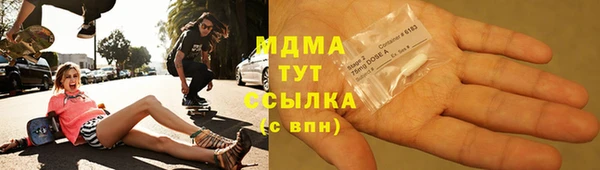 индика Арсеньев