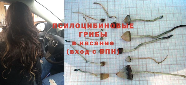 индика Арсеньев