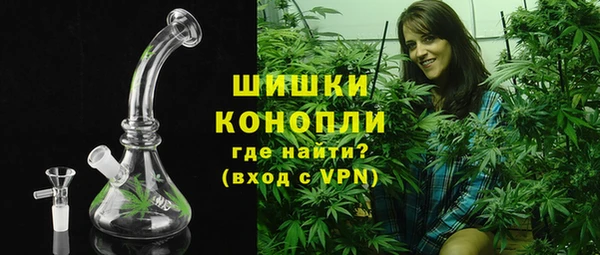 индика Арсеньев