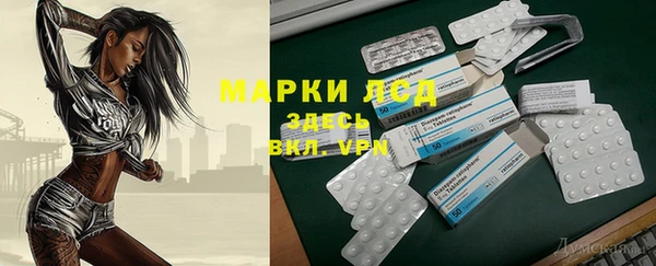 индика Арсеньев