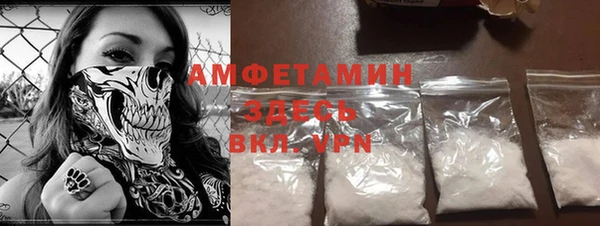 индика Арсеньев