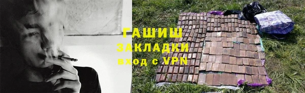 индика Арсеньев