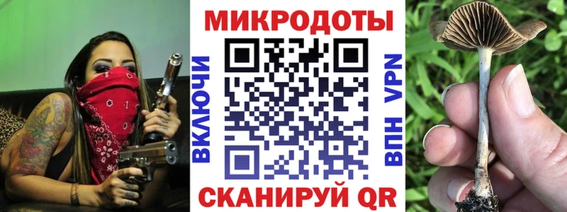 Галлюциногенные грибы мухоморы Спасск-Рязанский